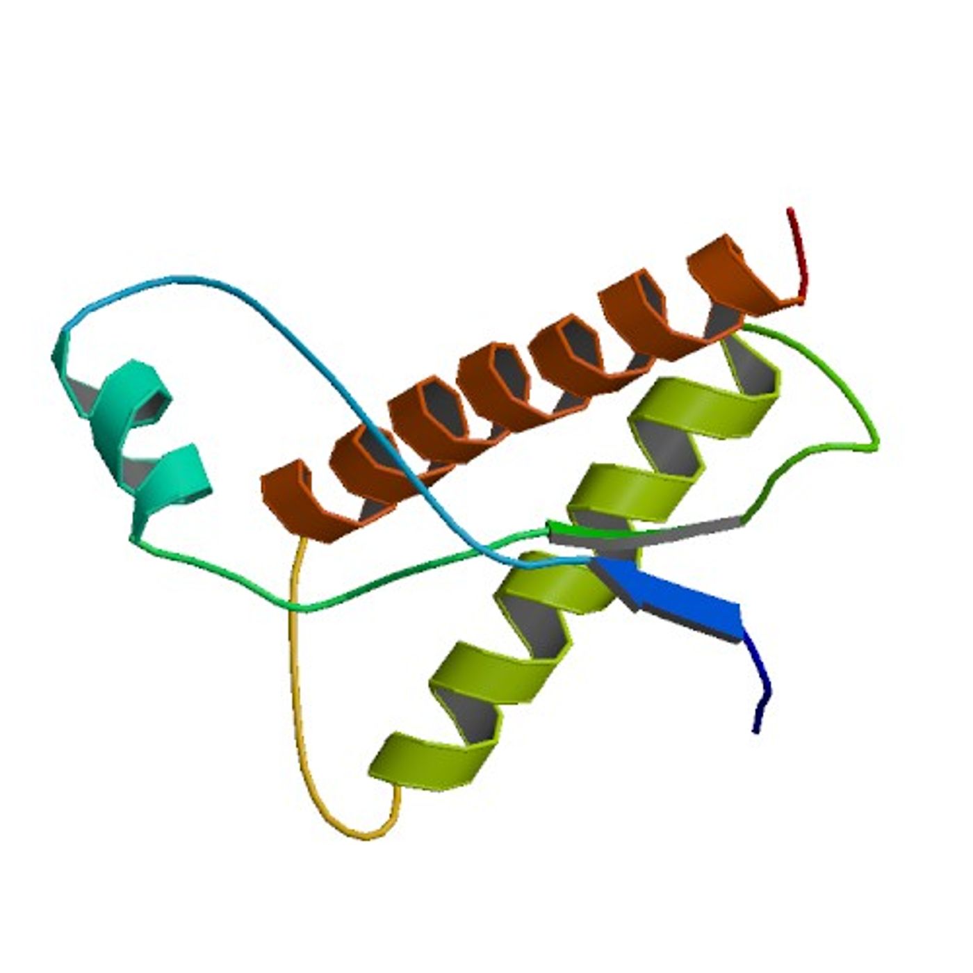 Bovine prion protein residues / Credit: Lopez-Garcia, F., Zahn, R., Riek, R., Wuthrich, K. & RCSB