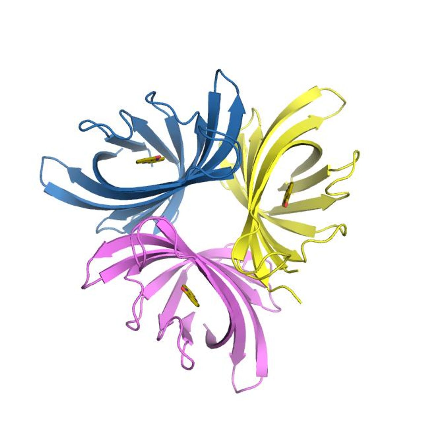 Crystal structure of the PodA protein complex with three molecules of 1-hydroxyphenazine, the reaction product, bound in the active sites. /Credit: Kyle Costa/Caltech