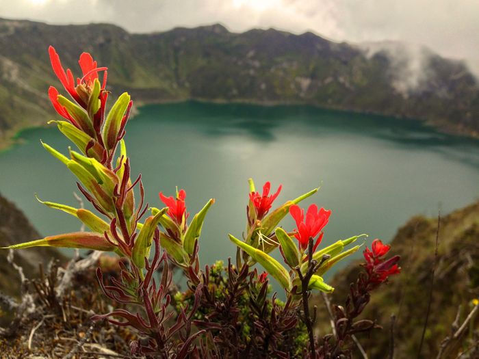 I saw several species of wildflowers like this along the route. Photo: Wandermuch.com