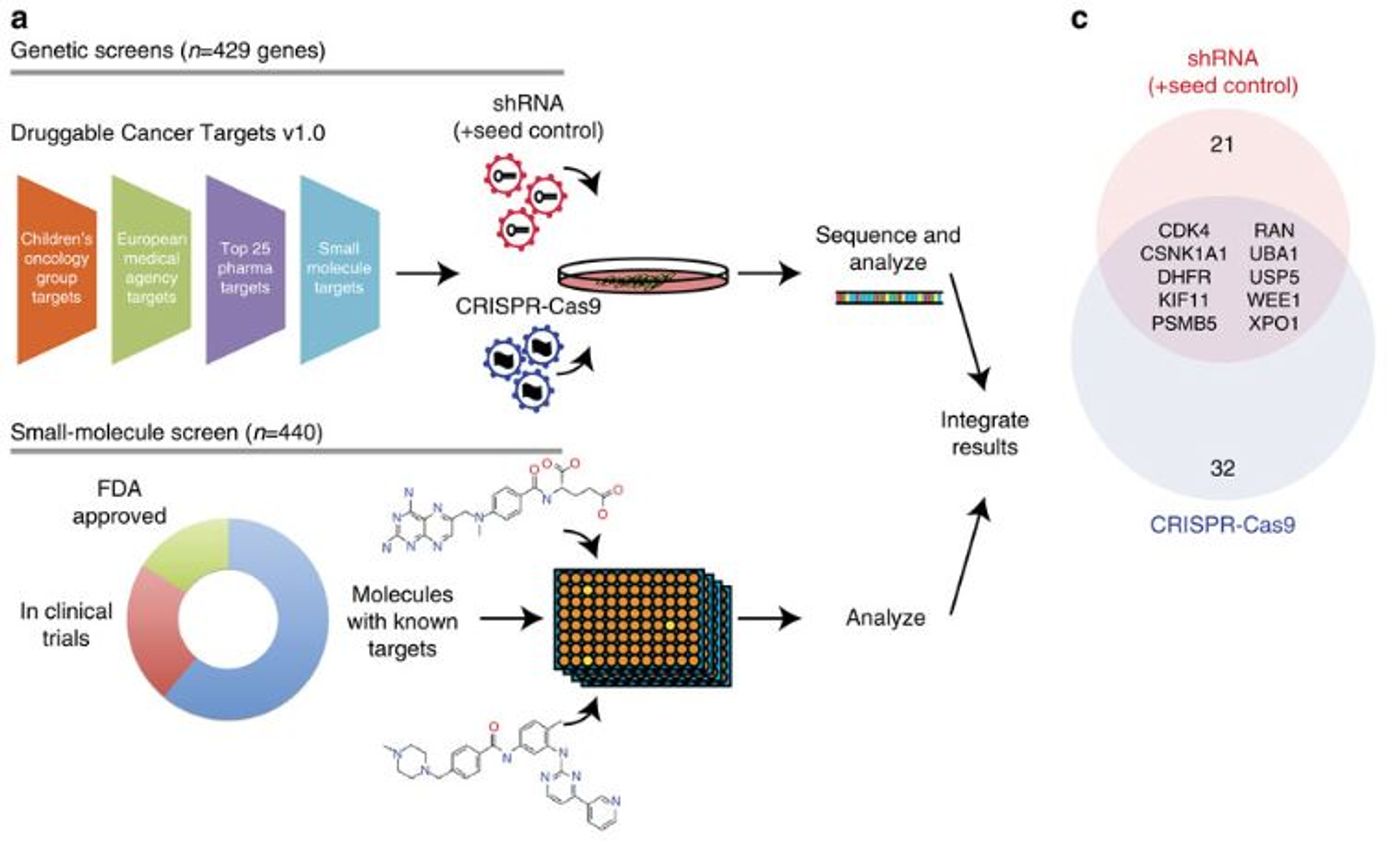 Workflow for this proof-of-concept personalized medicine.