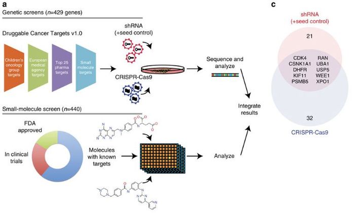 Workflow for this proof-of-concept personalized medicine.