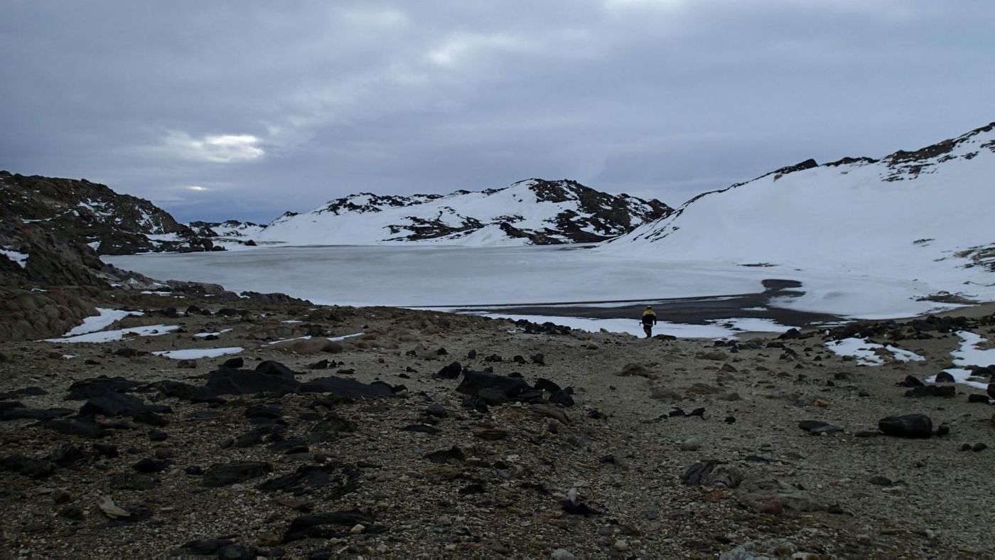 This is Rauer Island lake in Antarctica. Water samples collected from this remote lake are very rare. / Credit: UNSW Sydney