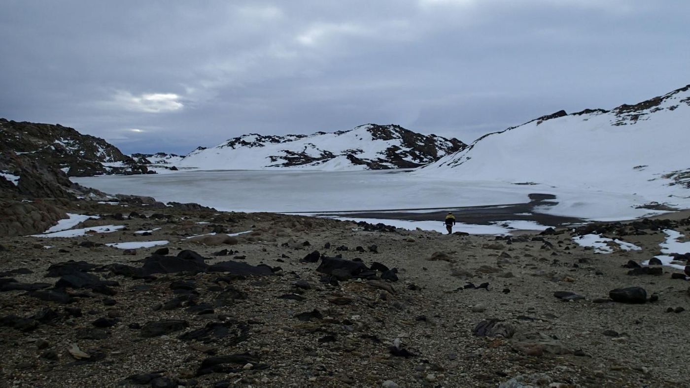 This is Rauer Island lake in Antarctica. Water samples collected from this remote lake are very rare. / Credit: UNSW Sydney
