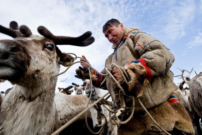 A Nenets herder. Photo: The Huffington Post