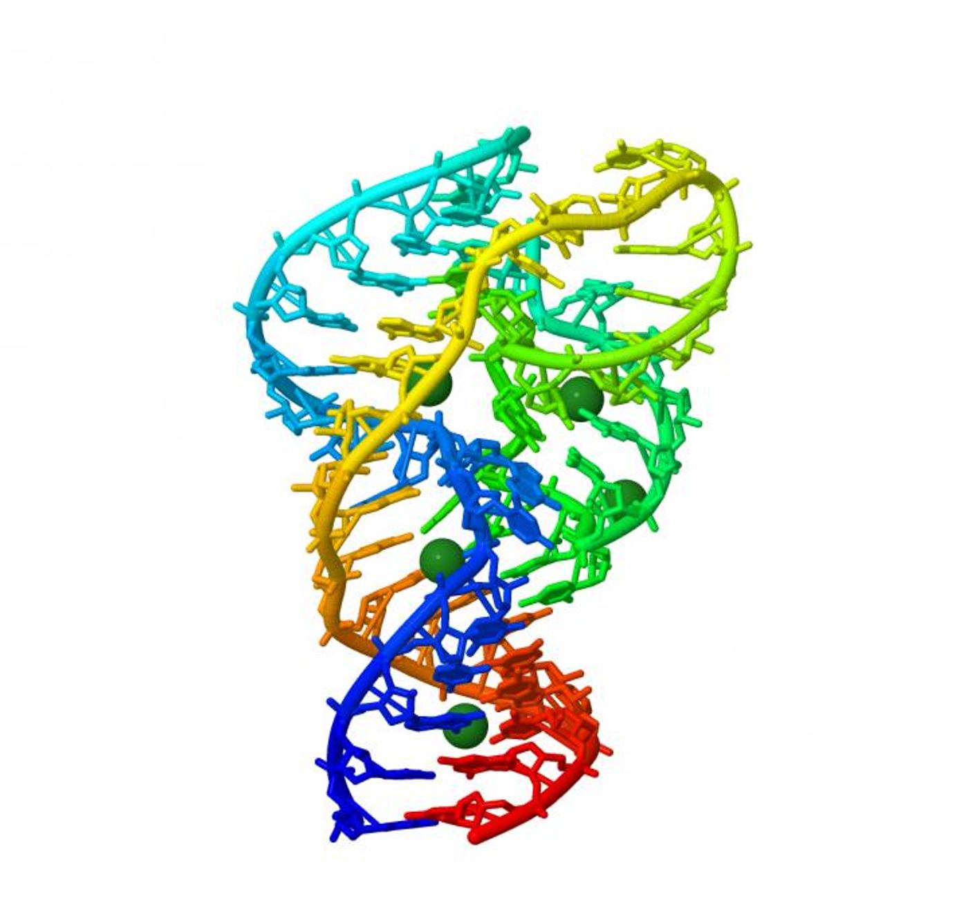 An image of the 3-D structure of a ribozyme. CREDIT OIST