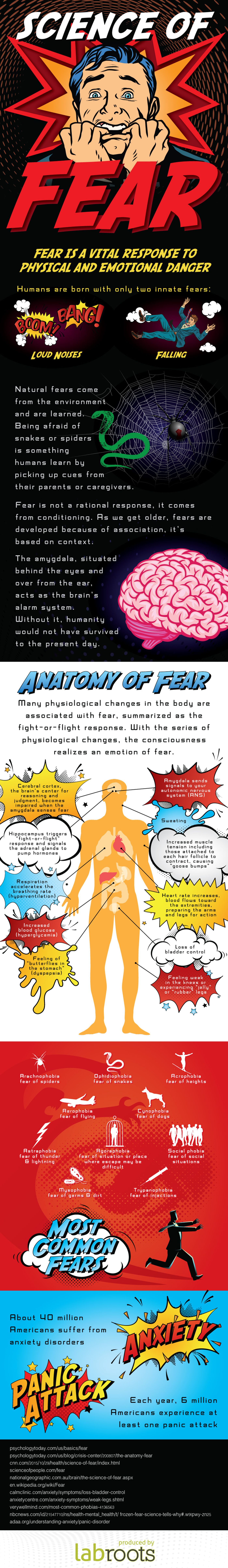 The Science of Anxiety (Infographic)