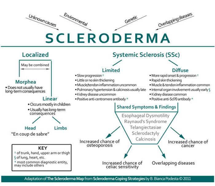 Stem Cells to the Rescue! Treating Scleroderma Immunology