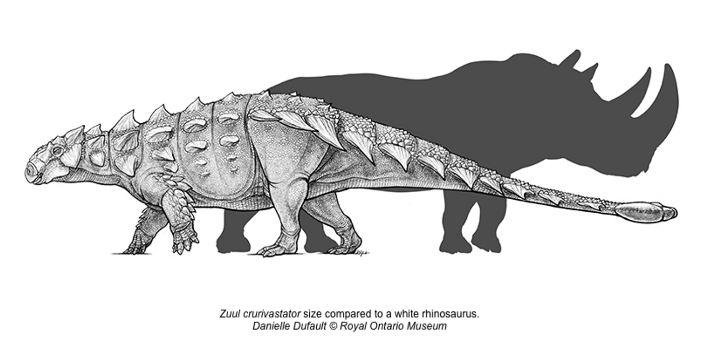 An artist's impression of Zuul standing near a modern rhino.