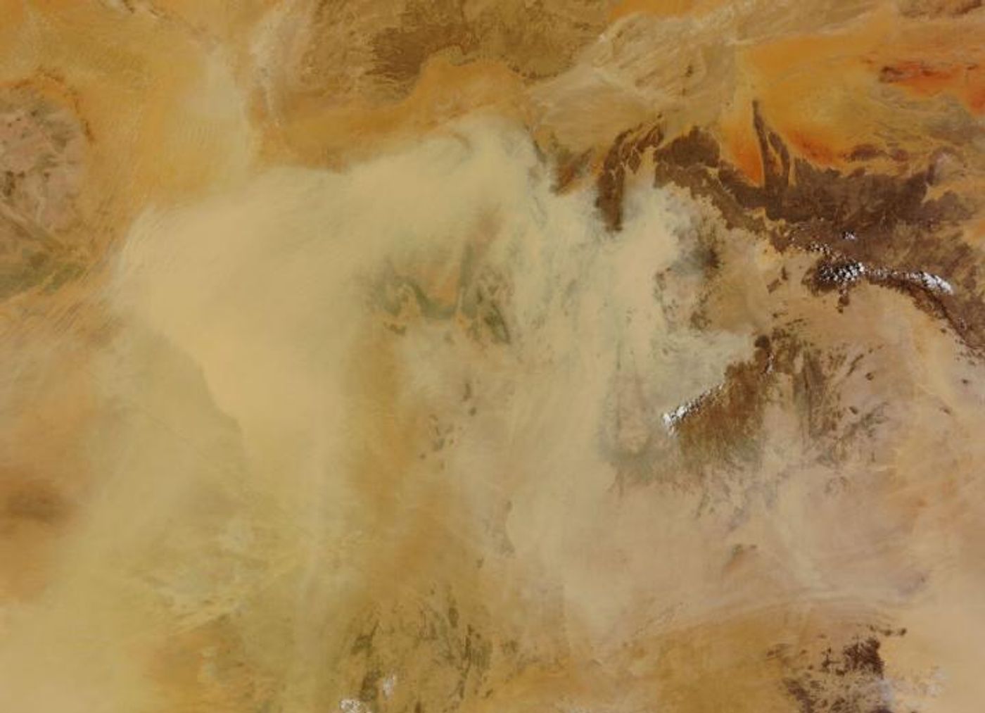  Viruses and bacteria fall back to Earth via dust storms and precipitation. Saharan dust intrusions from North Africa and rains from the Atlantic. / Credit: NASA Visible Earth