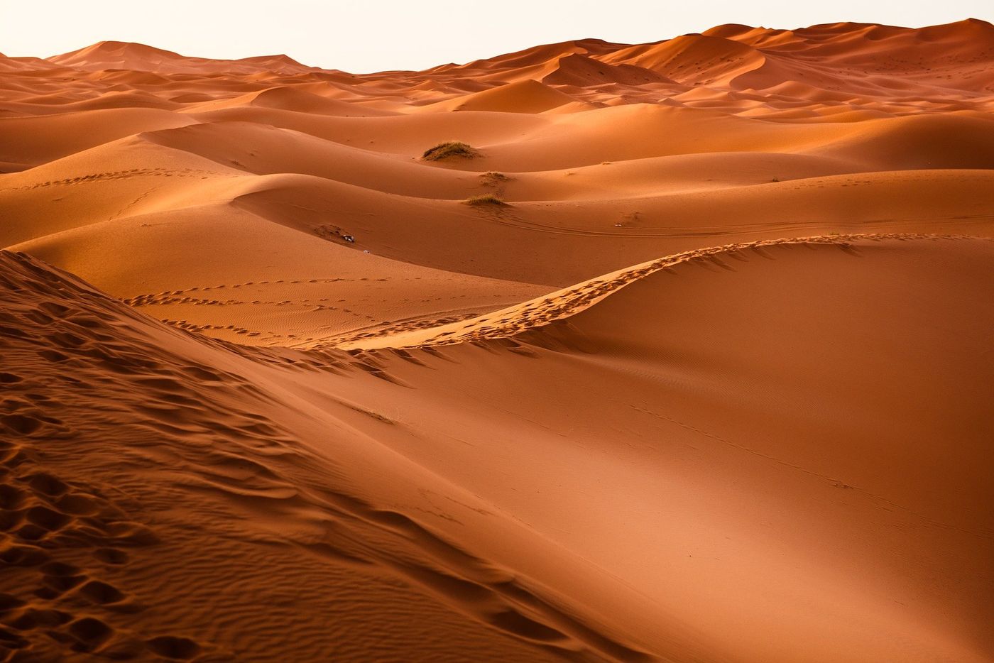 The Sahara covers 3.6 million square miles. Photo:Phys.org