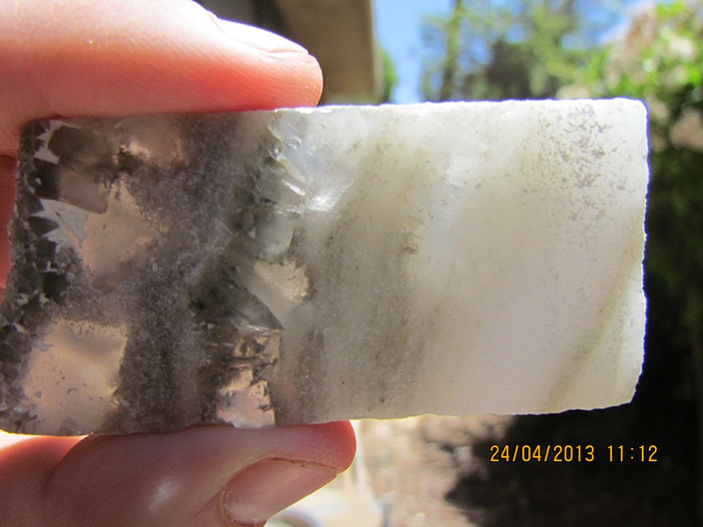 In this specimen, transparent crystals (left) formed on what was then the bottom during winter; finer white ones (right) formed on the water surface in summer and later sank. Photo: Yael Kiro/Lamont-Doherty Earth Observatory