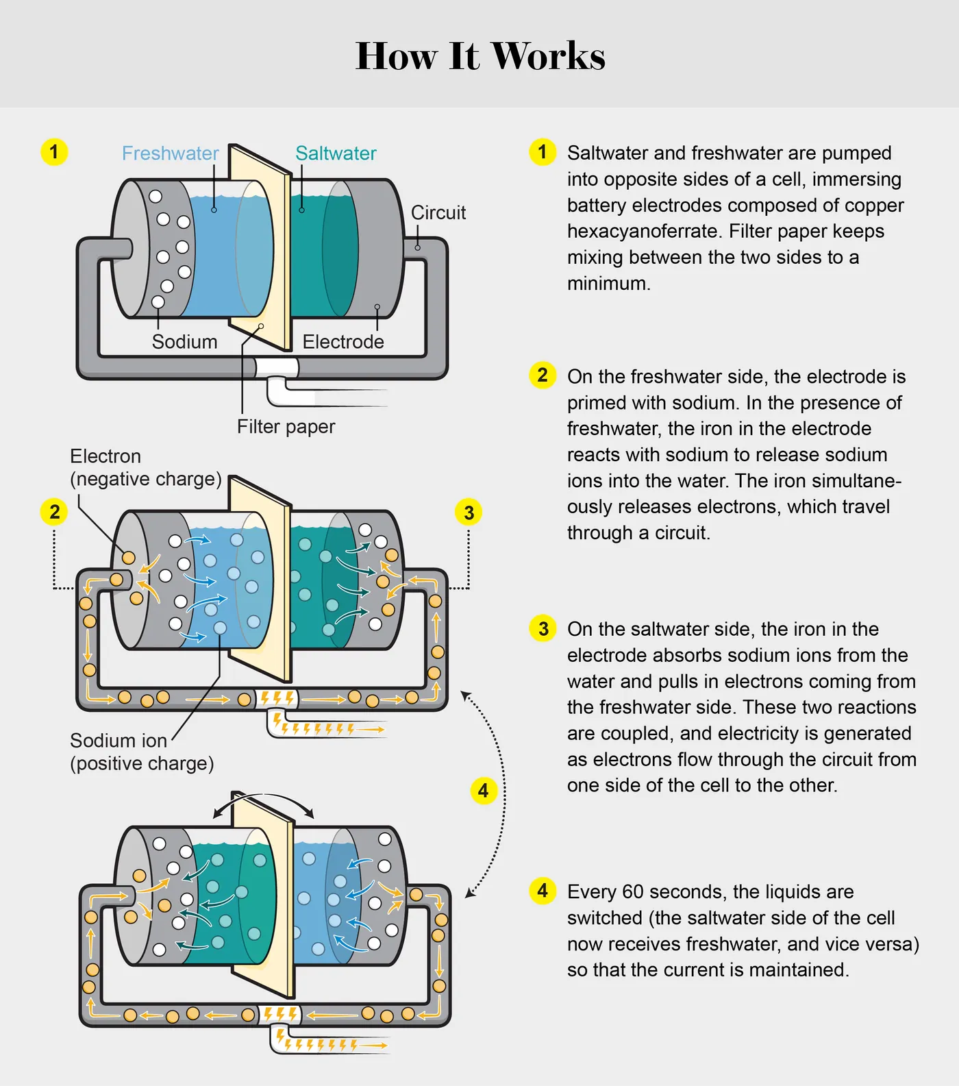 Diagram Source: Scientific American