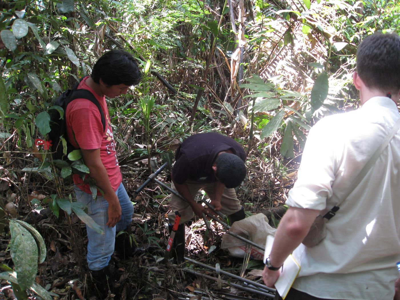 Peat coring at Quistococha peatland, Peru. Photo: UK Tropical Peatland Working Group