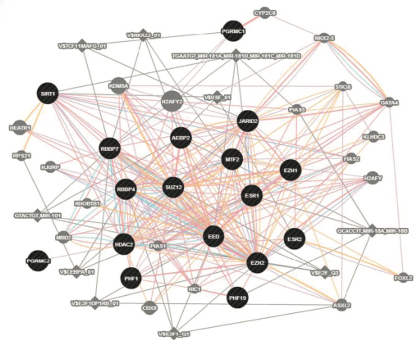 Expression of this ESC/E(Z) gene network was found to be systematically disturbed in PMDD. (Peter Schmidt, M.D., NIMH., David Goldman, M.D., NIAAA)