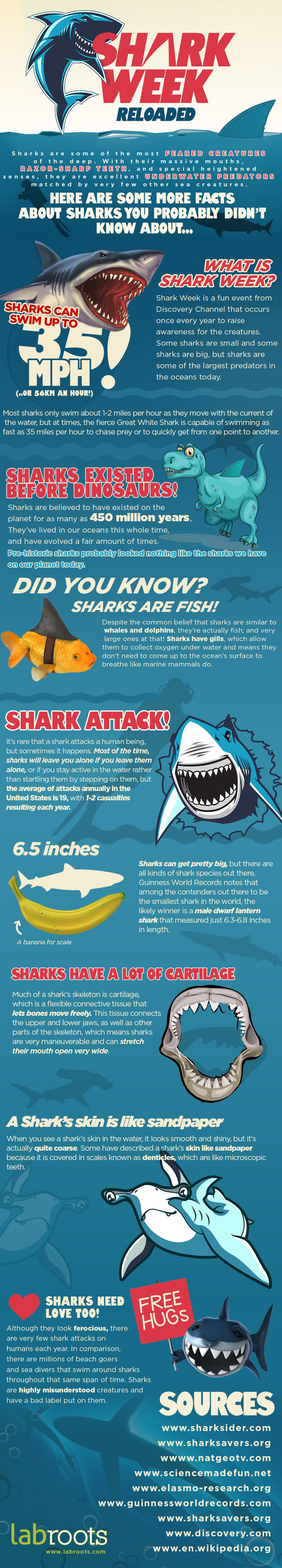 Shark Week Reloaded | Infographics