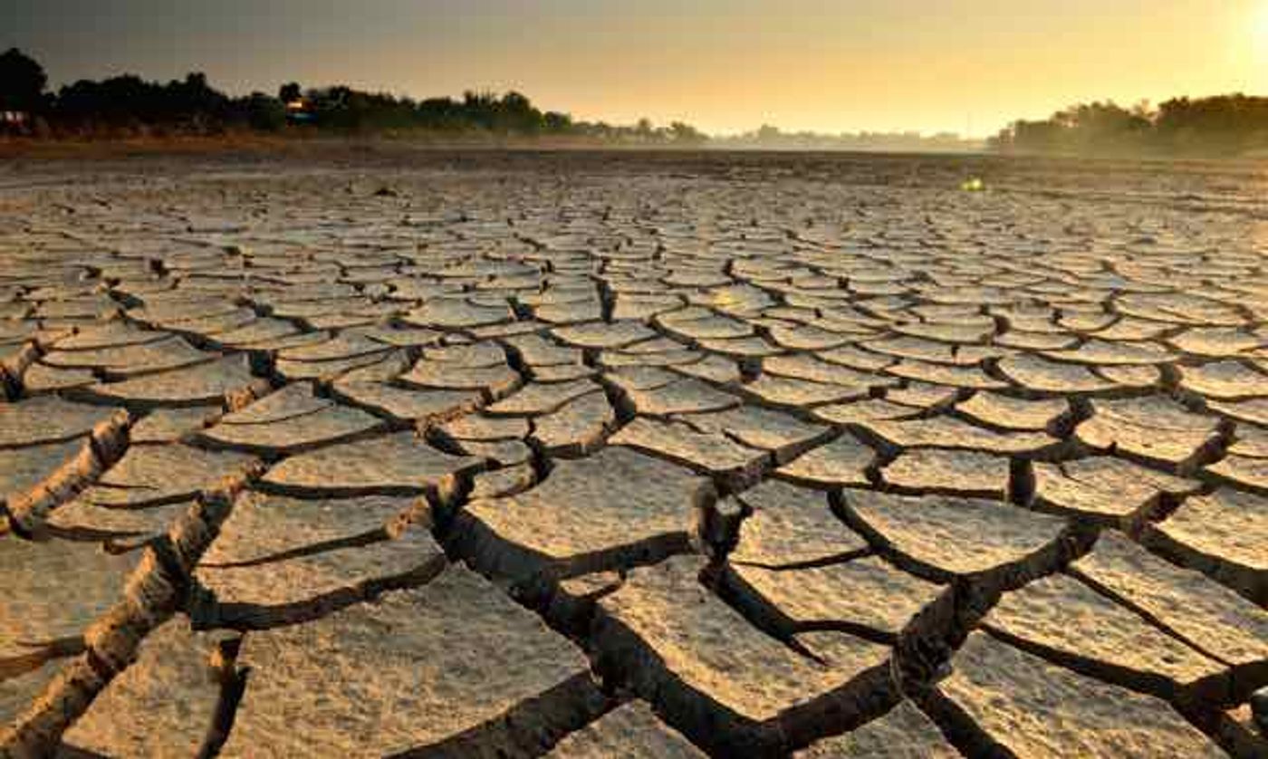 Photo: Food Tank