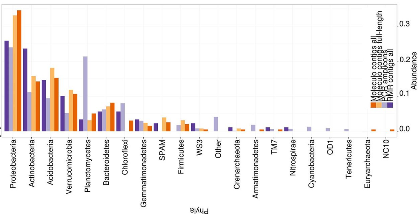 16S rRNA gene abundances across Moleculo-only and RMR contigs or from PCR amplicon sequencing (I-Tags). 16S rRNA genes from RMR contigs include all sequences, including the few full-length sequences of >1.4 kbp. 16S rRNA genes from Moleculo-only contigs include all that were <1.4 kbp and those that were full-length 16S rRNA sequences (>1.4 kbp). / Credit: mSystems White et al