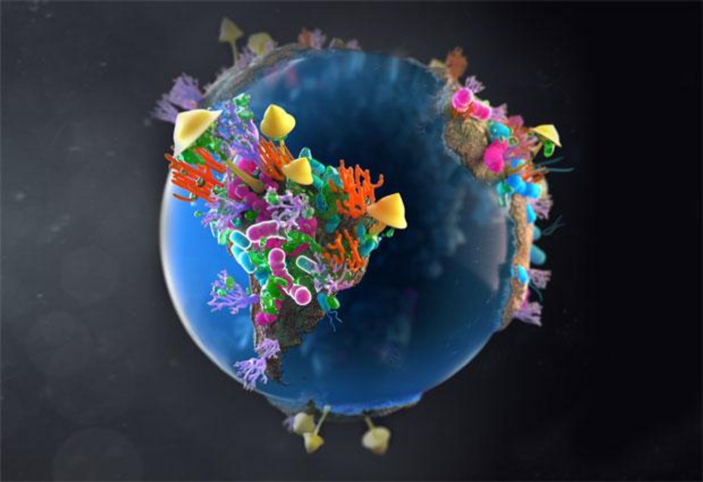 Global warfare between bacteria and fungi. / Credit: EMBL/Hildebrand/Krolik in collaboration with Campbell Medical Illustration