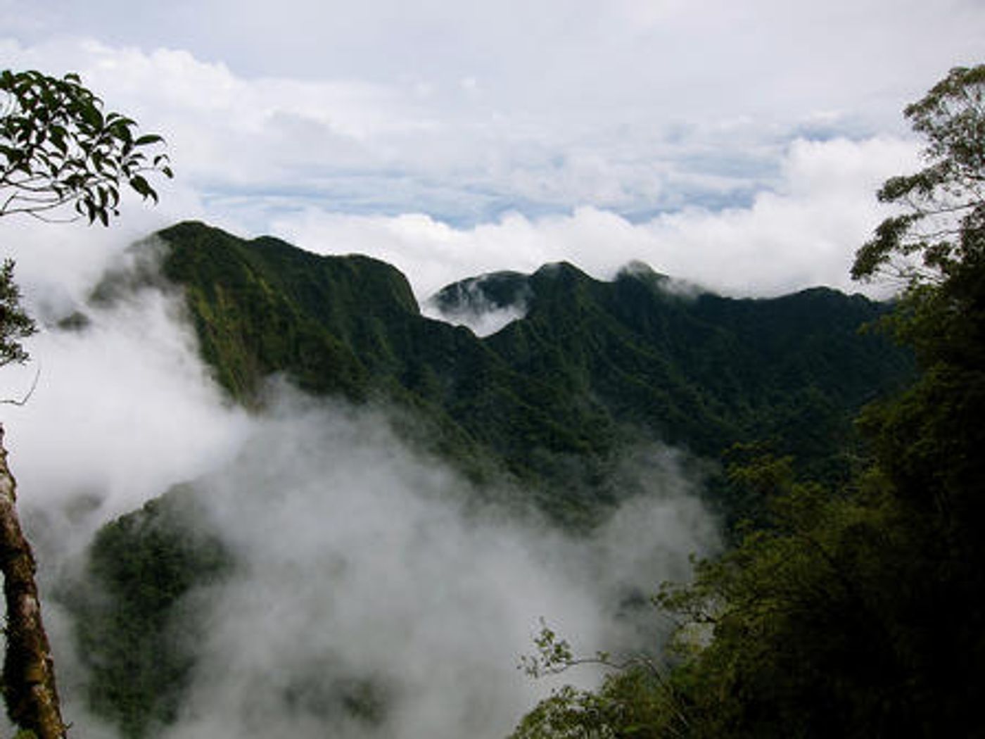 Kolombangara Island in the Solomon Islands is rich with biodiversity. Photo: American Museum of Natural History