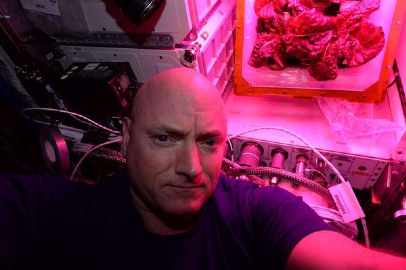 U.S. astronaut Scott Kelly poses for a selfie with some space-grown lettuce.