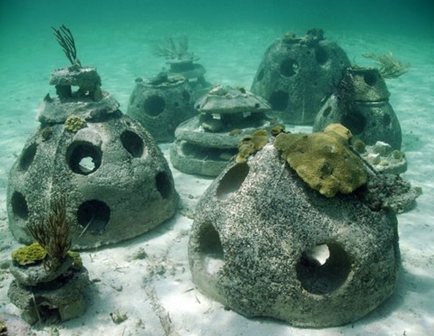 I also saw these unique "reef ball" structures while snorkeling. They were filled with fish and corals. Photo: Reef Ball Foundation