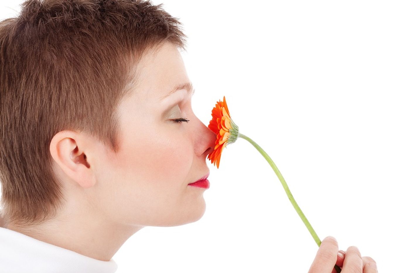 Smell tests may aid in the diagnosis of disorders like Alzheimer's disease. / Image credit: Pixabay