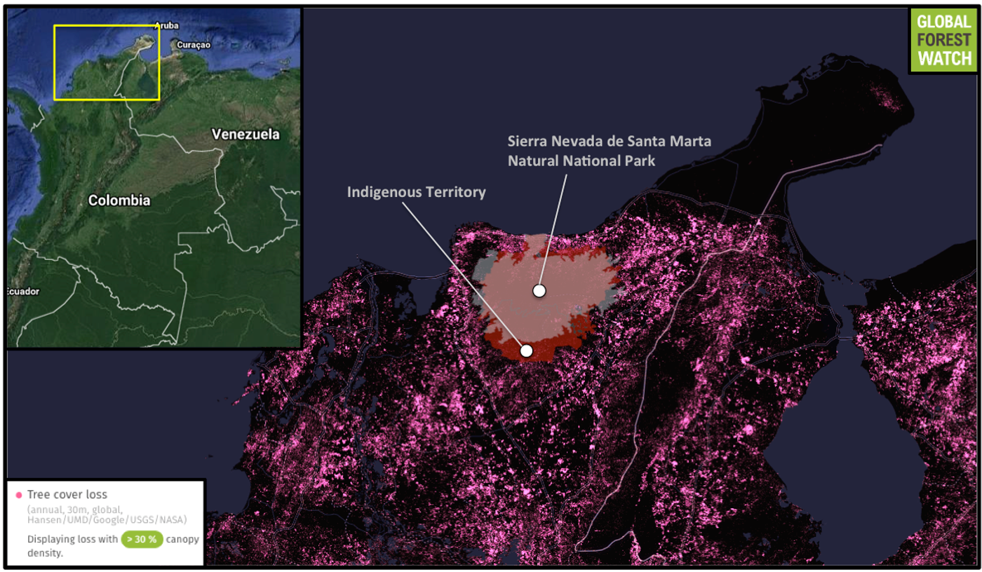Global Forest Watch shows heavy tree cover loss in the area surrounding the Indigenous reserves and Sierra Nevada de Santa Marta Natural National Park from 2001 through 2014. They have experienced comparatively less deforestation in the past 15 years.