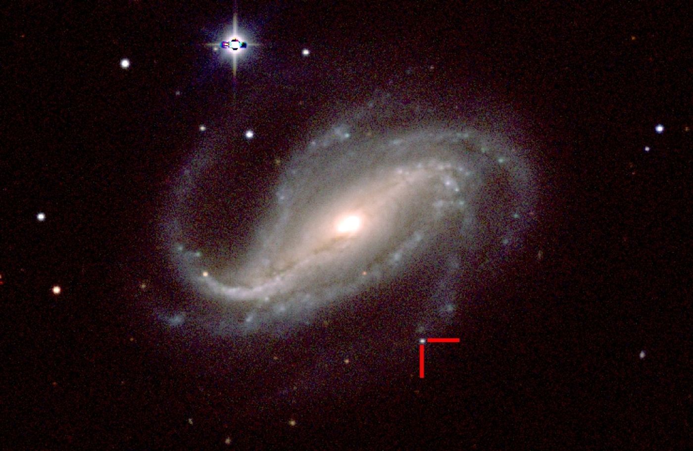 Meet, SN 2016gkg, an exploding star that went off just as an amateur astronomer began studying a distant galaxy.