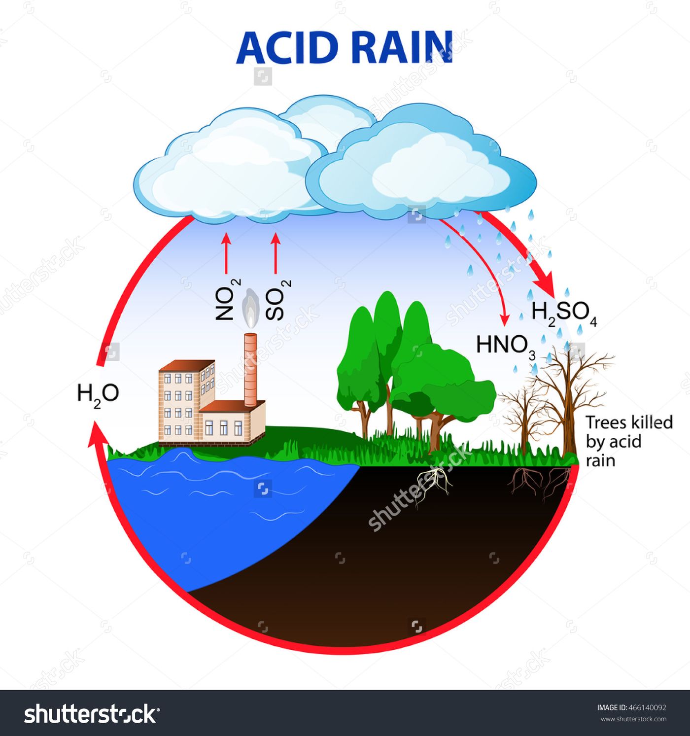 The cycle of acid rain. Photo: Shutterstock
