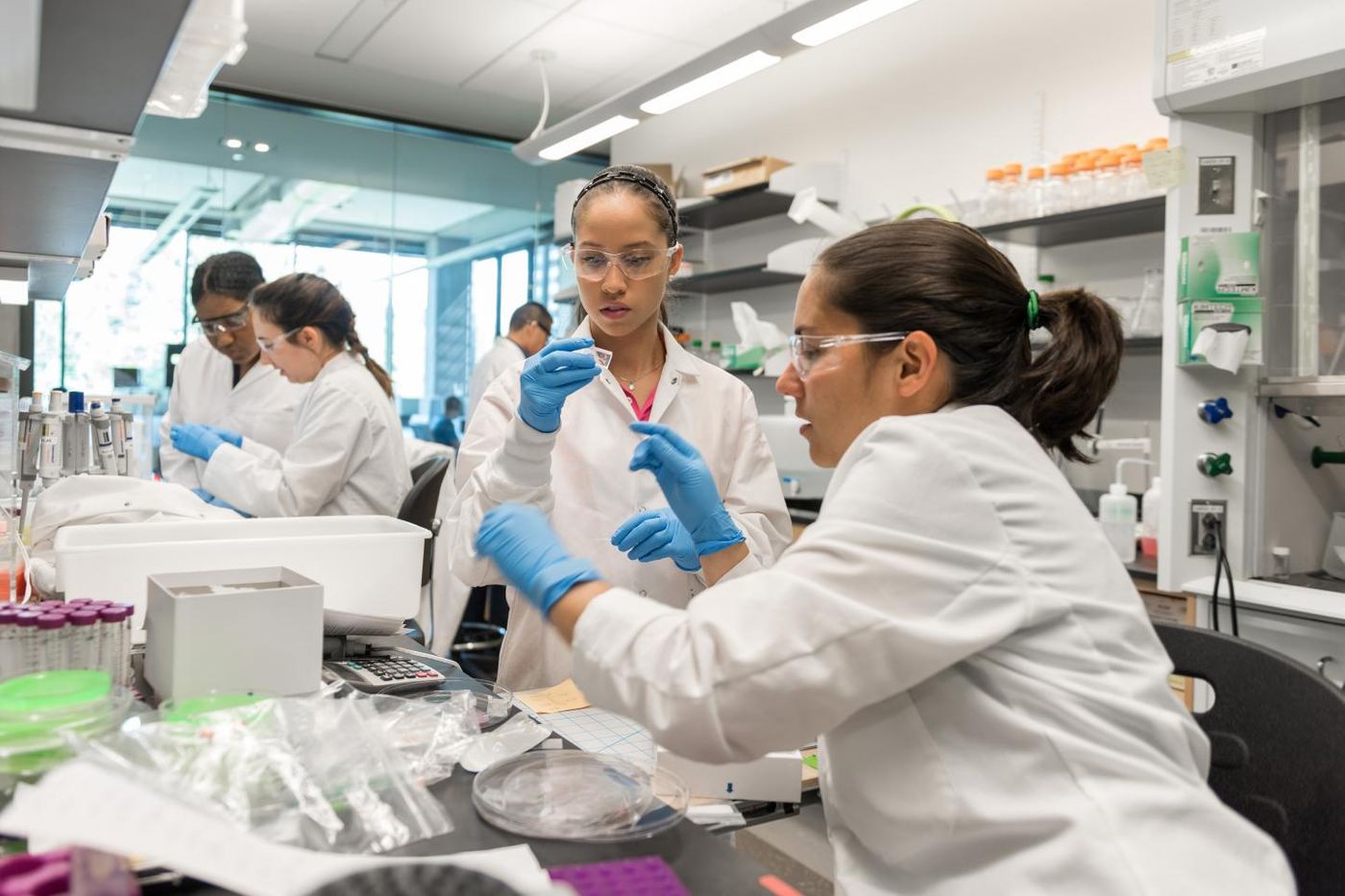 Researchers work in the cell manufacturing laboratory of Krishnendu Roy at Georgia Tech. Shown (l-r) are NSF Graduate Research Fellow Joscelyn Mejias, Research Experience for Undergraduates (REU) Program student Angela Jimenez, (background) Postdoctoral Fellow Randall Toy, Georgia Tech Research Institute TAG-Ed High School Intern Gita Balakirsky, and Project ENGAGES High School Intern Ayanna Prather. / Credit: Rob Felt, Georgia Tech