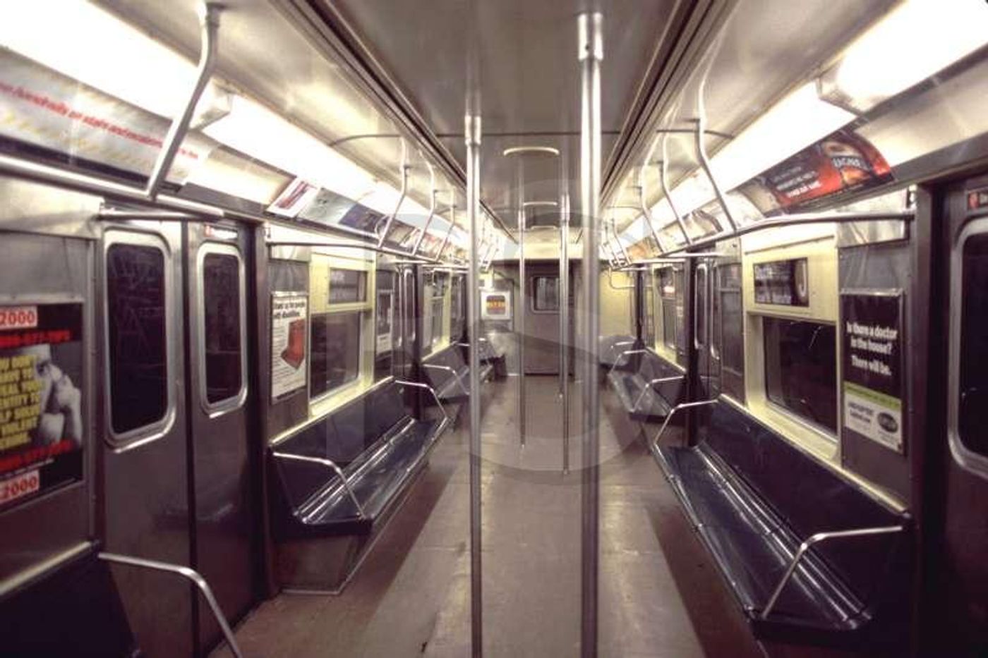 A new survey identified subway-dwelling microbes.