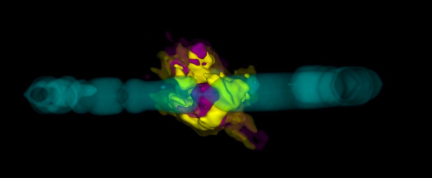 This three-dimensional structure of SN 1987A reveals the diverse grounds of particles found at the supernova's heart.