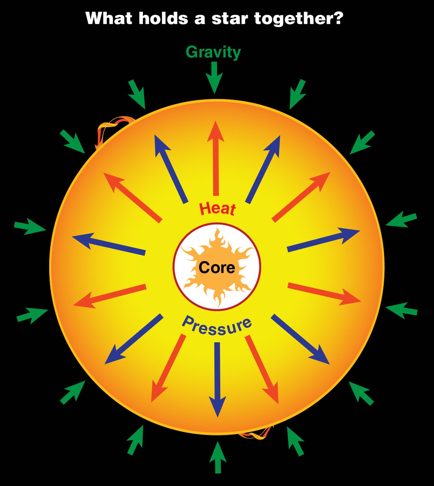 A diagram showing the balance between fusion and gravity in a star. (Credit: NASA)