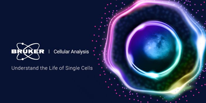 Antibody and Cell Therapy Development: The Life of Single Cells on Beacon® Platform