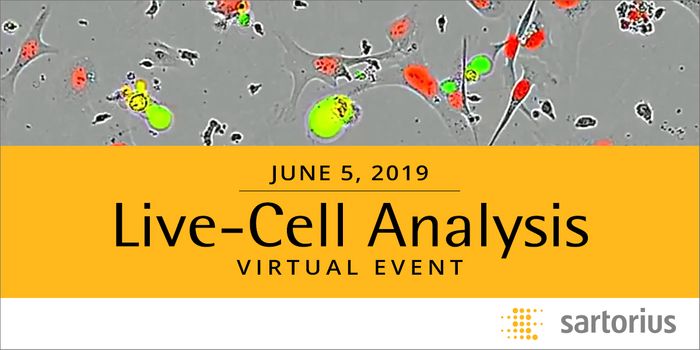 Dimension of Time: From Culture to Assay