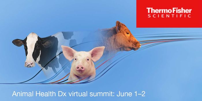 Animal Health Dx Summit