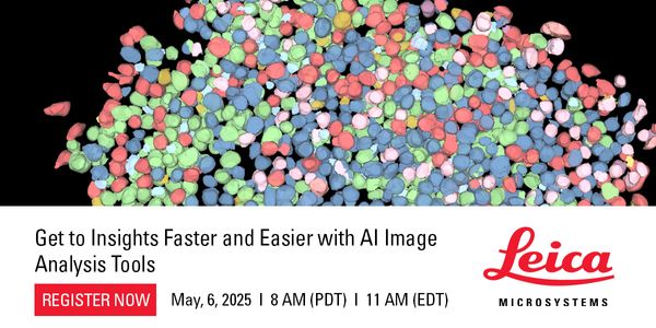 Get to Insights Faster and Easier with AI Image Analysis Tools