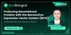 Producing Recombinant Proteins with the Baculovirus Expression Vector System (BEVS)