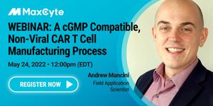 A cGMP Compatible, Non-Viral CAR T Cell Manufacturing Process