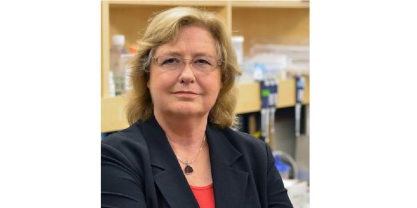 Molecular methods to QC cells intended for translation