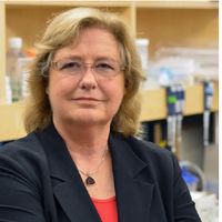 Molecular methods to QC cells intended for translation