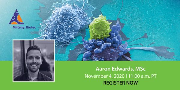 Developing flow-based analytical methods for gene-edited CAR-T programs: How to ensure an efficient transition from early research to clinical development