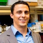 3D Cell Cultures and Tissue Clearing: A High Content Confocal Platform for the Complete 3D Characterization of Advanced Cell Models