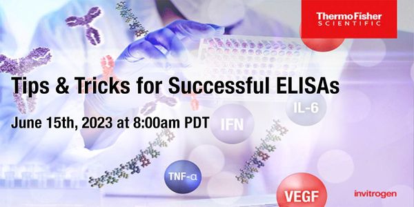 Proven tips and tricks for ensuring the success of ELISA experiments