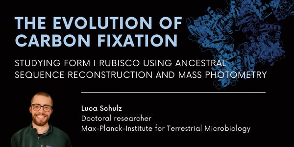 The evolution of carbon fixation: Studying Form I Rubisco using ancestral sequence reconstruction and mass photometry