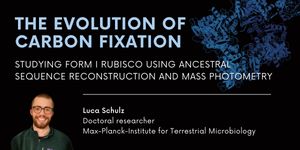 The evolution of carbon fixation: Studying Form I Rubisco using ancestral sequence reconstruction and mass photometry