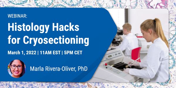 Histology Hacks For Cryosectioning