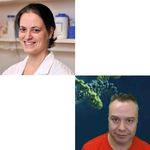 The important role of lncRNAs in breast cancer