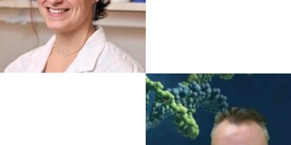 The important role of lncRNAs in breast cancer