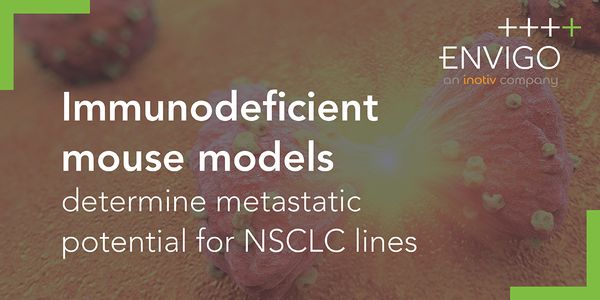 Immunodeficient mouse models determine metastatic potential for NSCLC lines